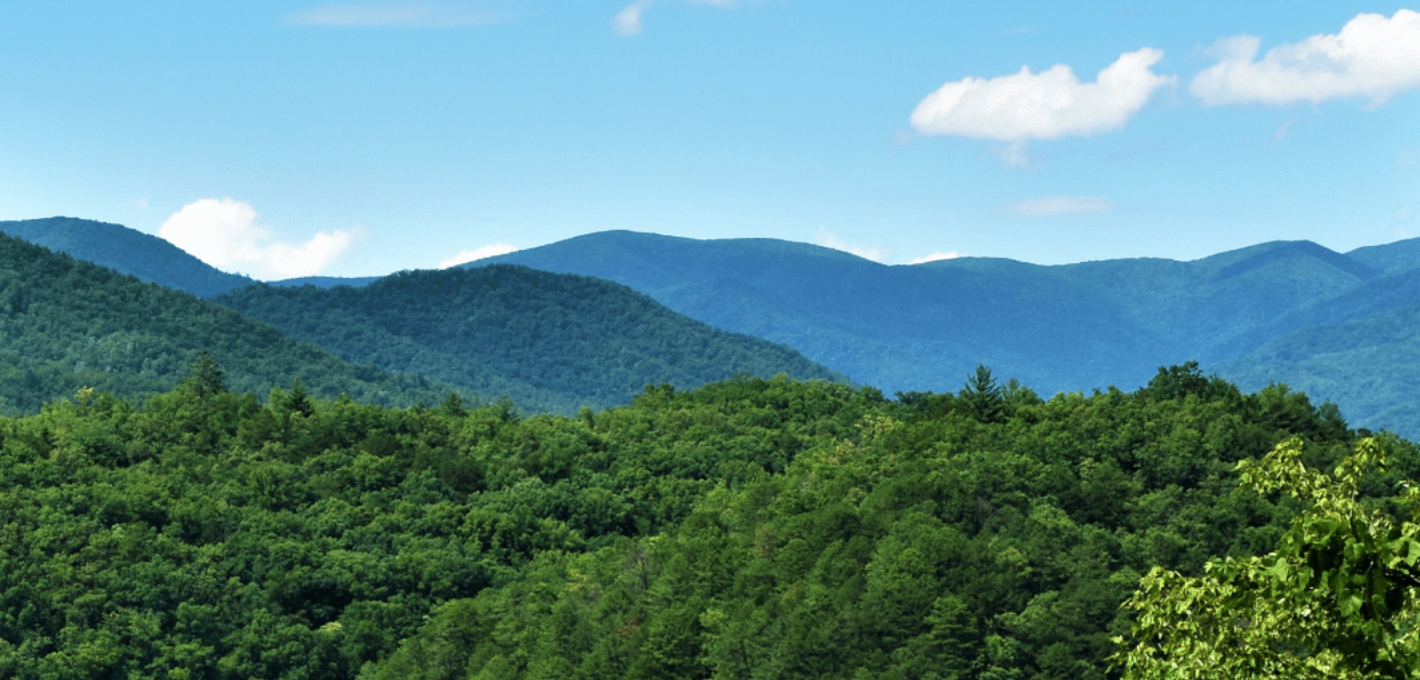 Landscape view of Turkey Creek Campground